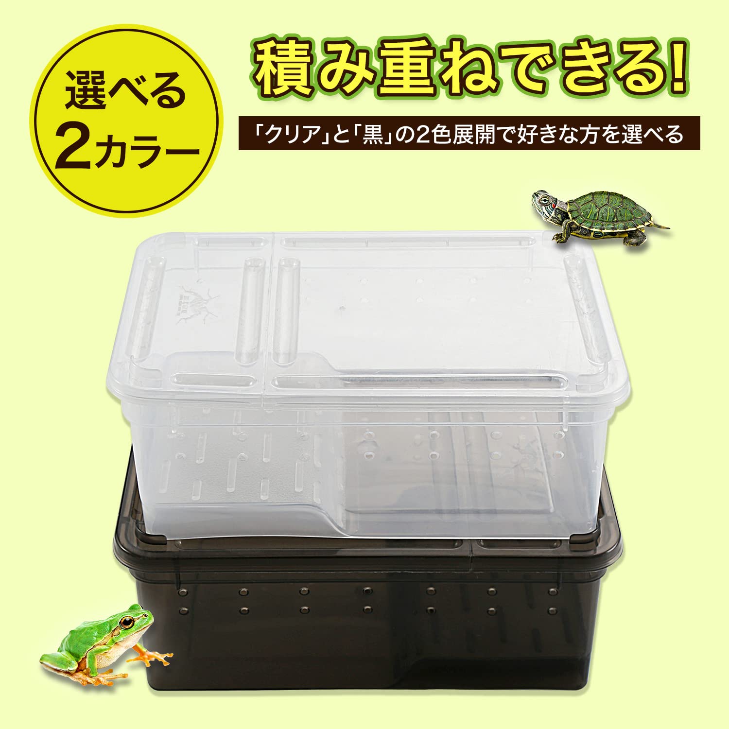 Amazon | feedbase 爬虫類 両生類 昆虫 飼育 2WAY プラスチック